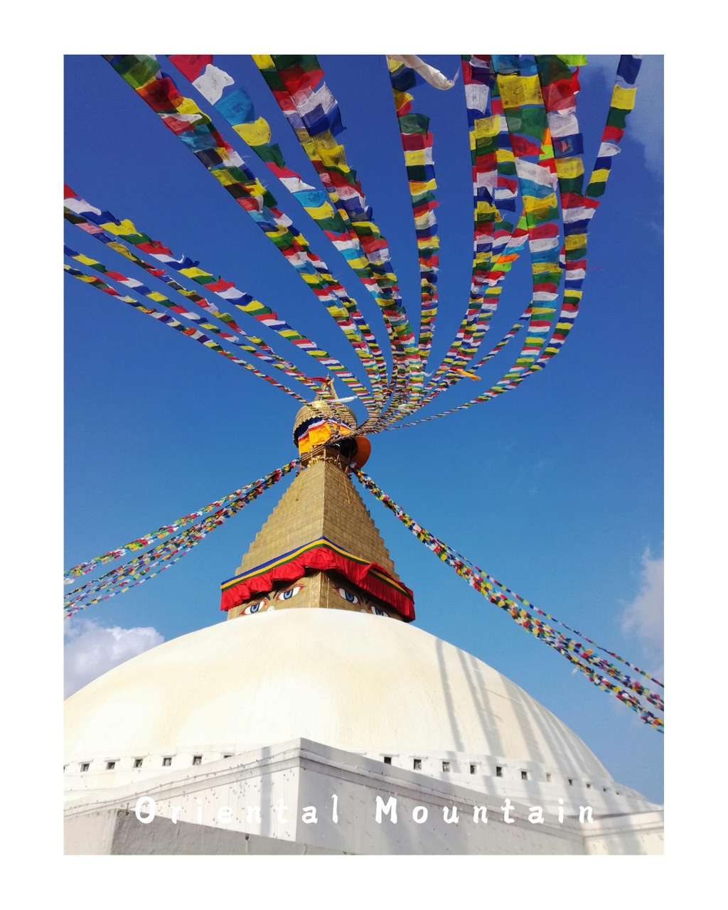 Soul Stone of Tibetan: Turquoise Healing Olive Earrings