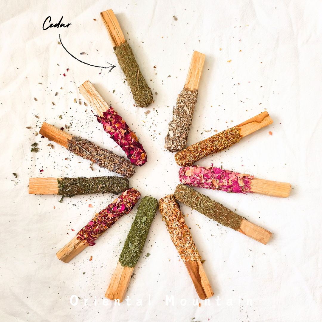 Plants Healing with Palo Santo