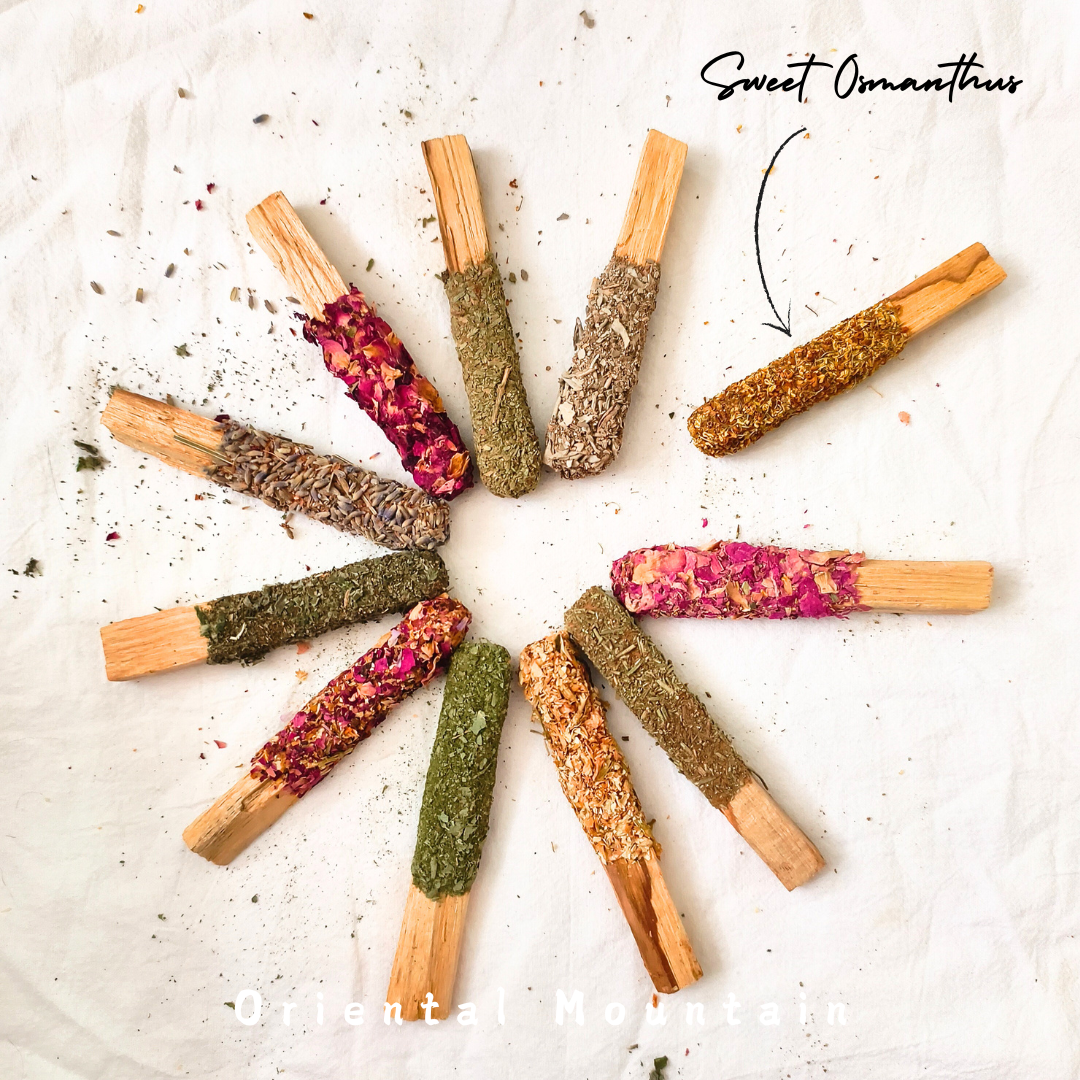 Plants Healing with Palo Santo