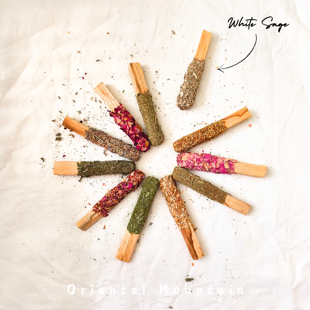 Plants Healing with Palo Santo